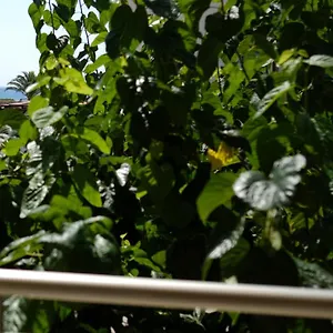 apartaments-lex.catalonia-hotels.com/